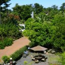 노노레타 이미지