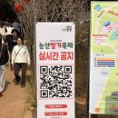 커스텀커피논산 | 2026 논산 딸기축제 먹거리 내부 체험 딸기따기 정보