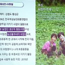 강원도 횡성군 횡성읍 읍상로 이미지