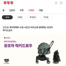 펫시즌