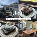 [제주/제주시] 특별한 제주 노형 정원 감성 카페 방문 후기 (안채 리뷰 / 내돈내산)