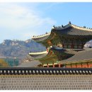 사화로-4 티스토리