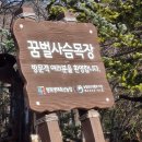 꿈벌사슴목장 이미지