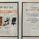 롯데몰 앞 횡단보도(2) 이미지