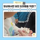 더 타이어 샵 영종점 | 인천 영종도 파충류샵 크레스티드 게코 도마뱀 분양 호텔링 크레리즘 영종점