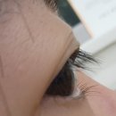 수룸 | 속눈썹 펌 후기 (수원 남문 수룸뷰티)