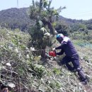 진해농장 이미지