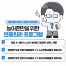 양노로 이미지