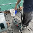 거제시동부면가배보건진료소 | 남해 가을 바다낚시 거제도 양성호 가배 해상펜션 날 것의 2박 3일 참돔 문어 갈치 손맛!