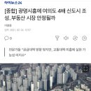 광명시흥에 여의도 4배 신도시 조성..부동산 시장 안정될까 이미지