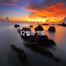 12월의 기도 / 이해인 수녀님 이미지