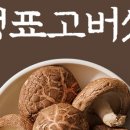 웅이농장 이미지