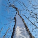 단양채훤민박 | 오늘의 단상수행(短想隨幸) 0029