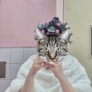 김민기미용실 | 결혼기념일 3주년 리마인드로 찍은 마산 신신예식장 레트로 웨딩촬영 후기&비용 정리