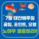 꿈이익는뜨락 | 7월 태안 해루질, 포인트, 어종, 금어기, 기본 장비, 실전 노하우 빠르게 확인!!