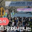 문화의 거리 네이버블로그