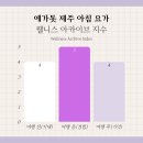 아침 요가 | 에가톳 제주 웰니스센터 아침 요가 원데이 클래스 후기