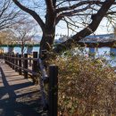 장천동마을회관 이미지