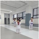 큰솔 태권도 이미지