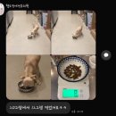 호텔멍 | 광주 헬로멍 호텔 후기 3 ୧| ⁰ ᴥ ⁰ |୨