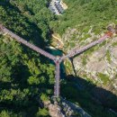 거창보리밥 이미지