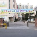 광정초등학교 네이버블로그