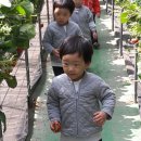 민들레흑염소농장 이미지