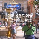 아시아드림마트 | 미국 여행 올랜도 디즈니월드 4파크 떠먹여 주는 꿀팁 &amp; 입장권 20% 할인받는 방법!(최소 15만원 아껴드림)
