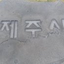 제주직업소개소 - 제주시 | 제주직업소개소