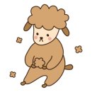 황제족발보쌈 이미지