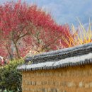 담장너머 이미지