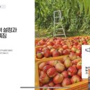 타이탄커머스 | &lt;타이탄 철물점&gt; 과일 위탁판매(농산물 커머스) 무료 강의 후기