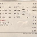 연승국밥 네이버블로그