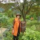 태영민속박물관 Daum카페