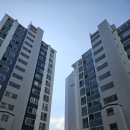 광적성우헤스티아 이미지