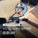 해나라전기 - 강서구 강서로52길 50 | 우도 전기스쿠터 대여 가격 면허 코코나라