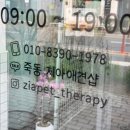 지아 애견샵 이미지