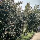 (유)현유 이미지