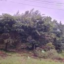 와수 5리 이미지