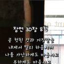 지혜중고등영어 이미지