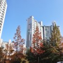 금동공인중개사사무소 이미지