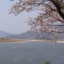 하동문화예술회관 이미지