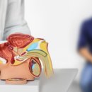 중앙남성 이미지