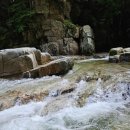 수도산 자연휴양림 이미지