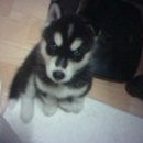 간석3동-17 이미지