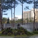 (주)트랜지 이미지