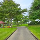 그린밸리 이미지