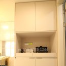 리젤펠리스 이미지