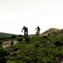 휴먼카모터스 이미지