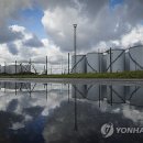 씨티주 이미지